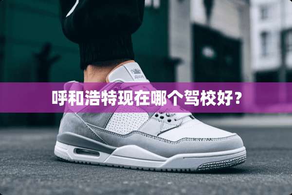呼和浩特现在哪个驾校好？