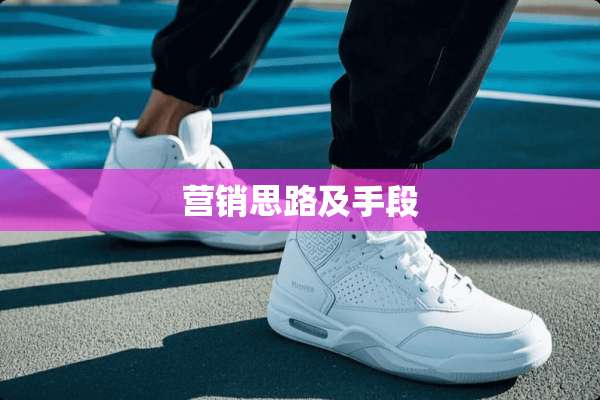 营销思路及手段