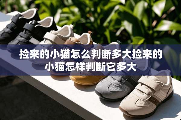 捡来的小猫怎么判断多大捡来的小猫怎样判断它多大