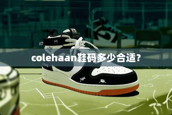 colehaan鞋码多少合适？