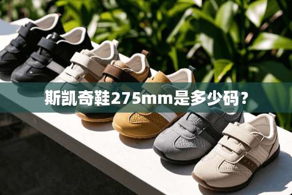 斯凯奇鞋275mm是多少码？