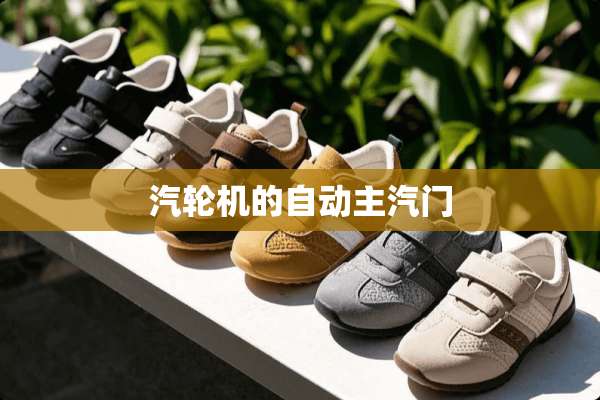 汽轮机的自动主汽门