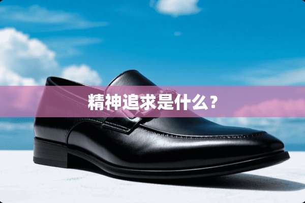 精神追求是什么？