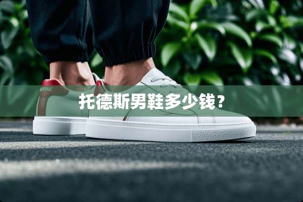 托德斯男鞋多少钱？