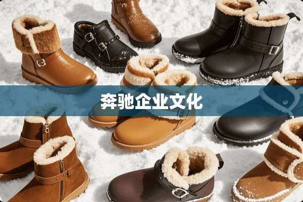 奔驰企业文化