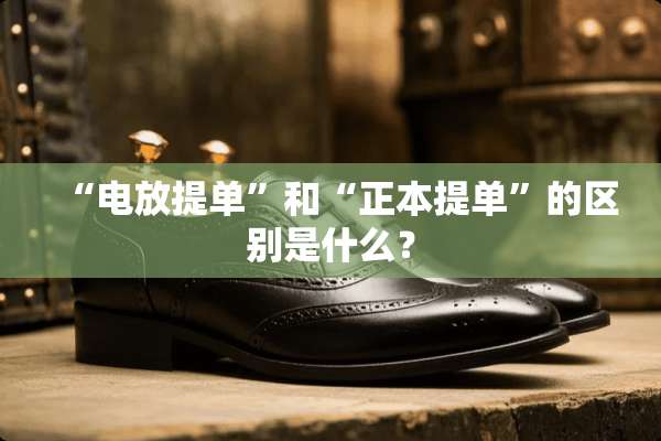 “电放提单”和“正本提单”的区别是什么？
