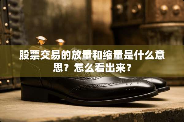 股票交易的放量和缩量是什么意思？怎么看出来？