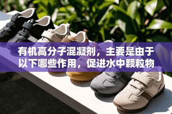 有机高分子混凝剂，主要是由于以下哪些作用，促进水中颗粒物絮凝的