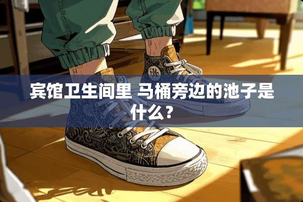 宾馆卫生间里 马桶旁边的池子是什么？