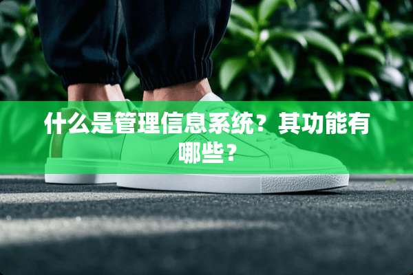 什么是管理信息系统？其功能有哪些？