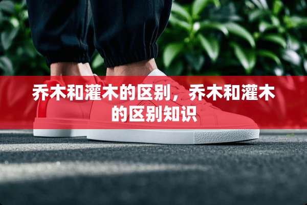 乔木和灌木的区别，乔木和灌木的区别知识