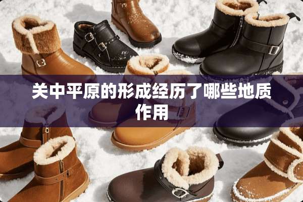 关中平原的形成经历了哪些地质作用