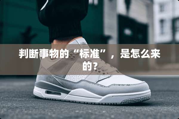 判断事物的“标准”，是怎么来的？