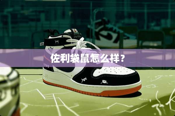 佐利袋鼠怎么样？