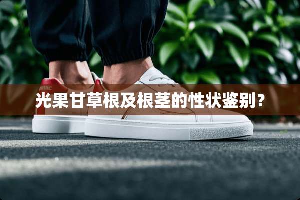 光果甘草根及根茎的性状鉴别？