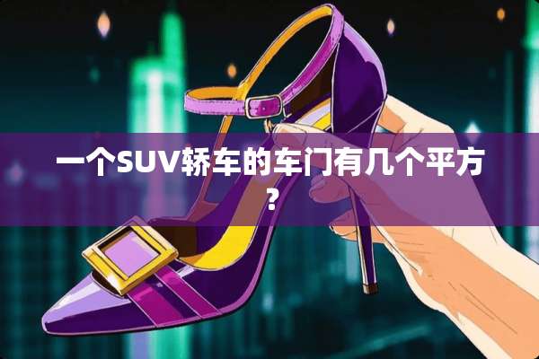一个SUV轿车的车门有几个平方？