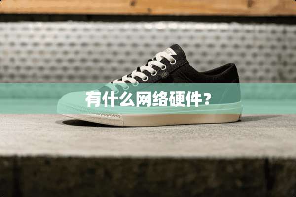 有什么网络硬件？