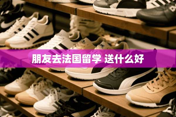 朋友去法国留学 送什么好