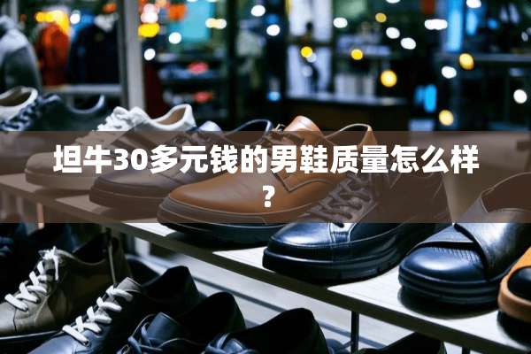 坦牛30多元钱的男鞋质量怎么样？