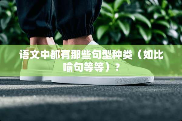语文中都有那些句型种类（如比喻句等等）？