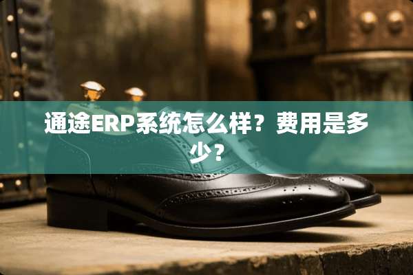 通途ERP系统怎么样？费用是多少？