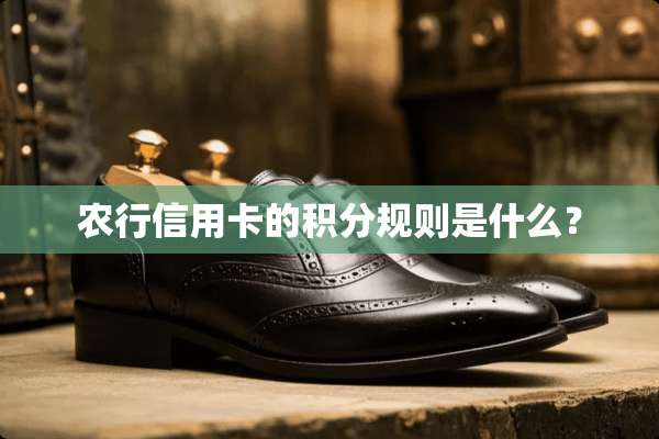 农行***的积分规则是什么？