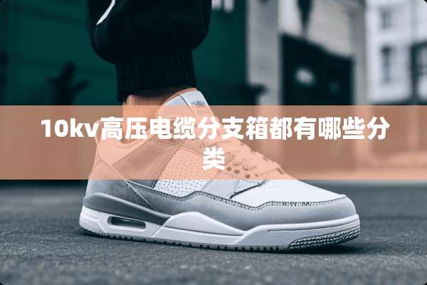 10kv高压电缆分支箱都有哪些分类