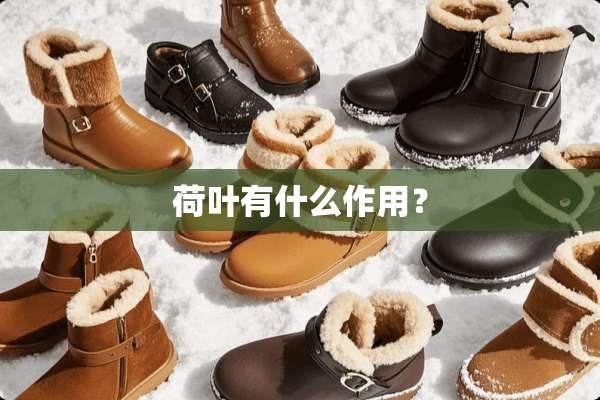 荷叶有什么作用？