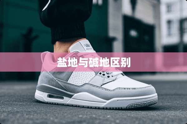 盐地与碱地区别