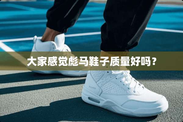 大家感觉彪马鞋子质量好吗？