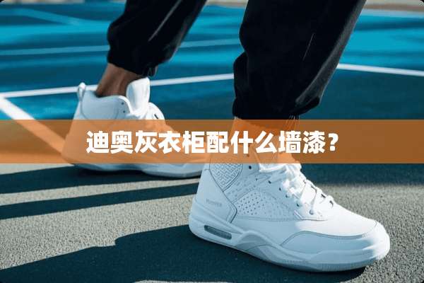 迪奥灰衣柜配什么墙漆？