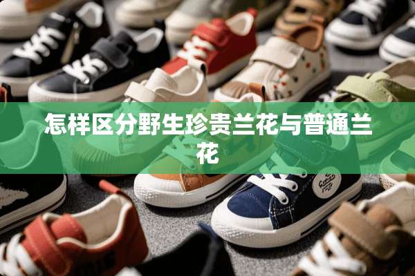 怎样区分野生珍贵兰花与普通兰花