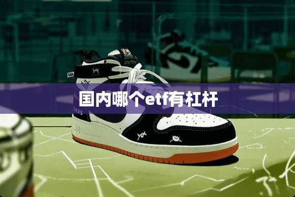 国内哪个etf有杠杆