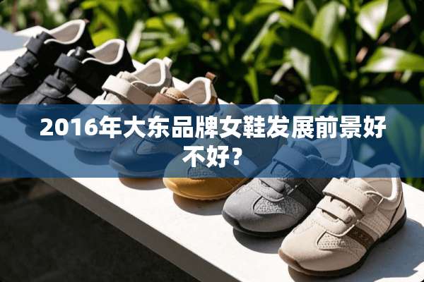 2016年大东品牌女鞋发展前景好不好？