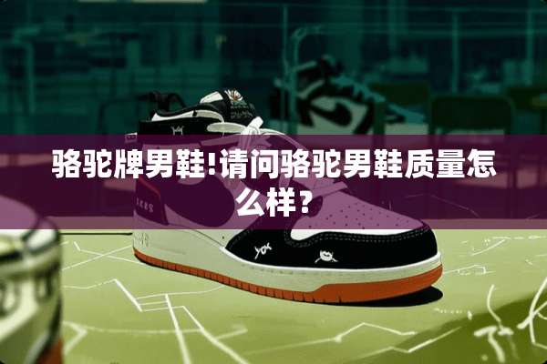 骆驼牌男鞋!请问骆驼男鞋质量怎么样？