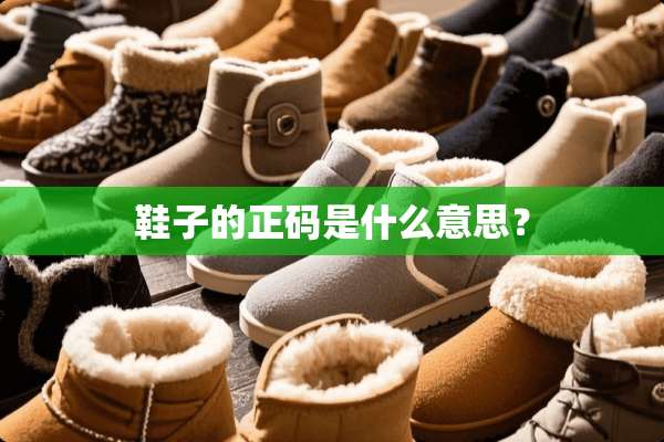 鞋子的正码是什么意思？