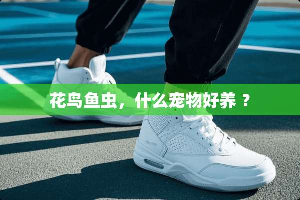 花鸟鱼虫，什么宠物好养 ？