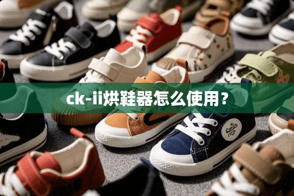 ck-ii烘鞋器怎么使用？