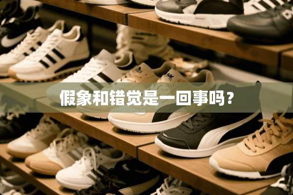 假象和错觉是一回事吗？
