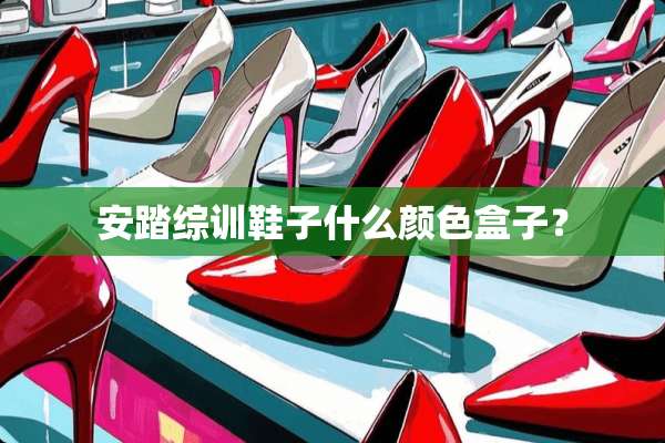 安踏综训鞋子什么颜色盒子？