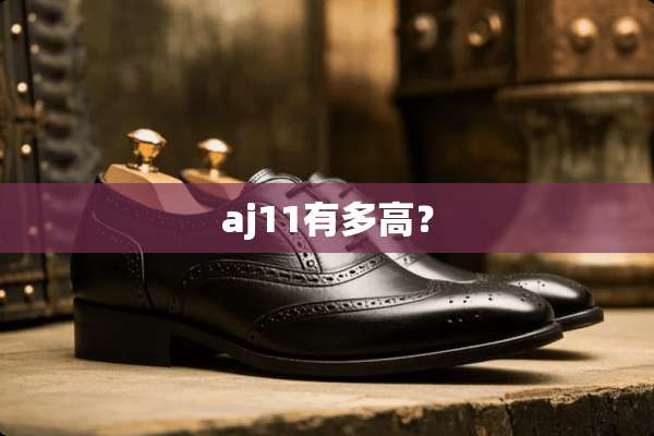 aj11有多高？