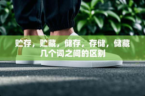 贮存，贮藏，储存，存储，储藏几个词之间的区别