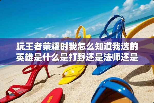 玩王者荣耀时我怎么知道我选的英雄是什么是打野还是法师还是辅助还是上单什么？
