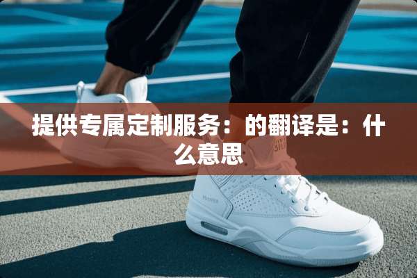 提供专属定**务：的翻译是：什么意思