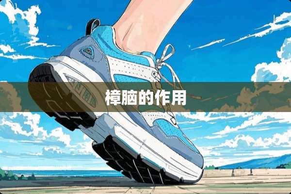 樟脑的作用