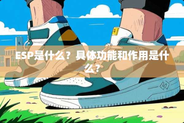 ESP是什么？具体功能和作用是什么？