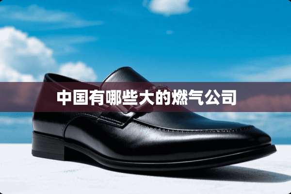 中国有哪些大的燃气公司