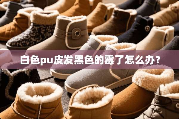 白色pu皮发黑色的霉了怎么办？