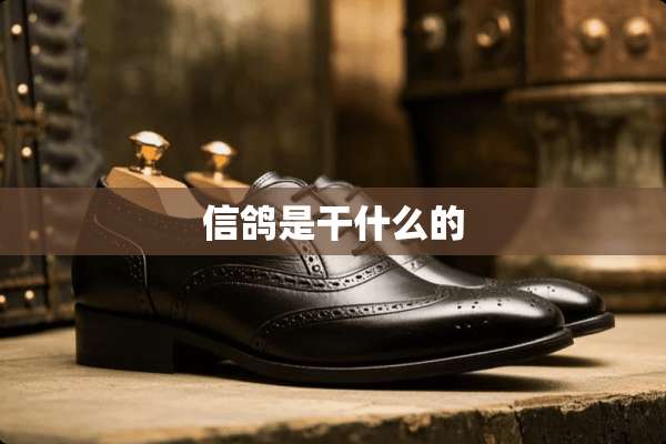 信鸽是干什么的