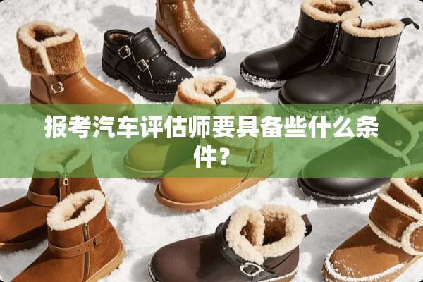 报考汽车评估师要具备些什么条件？